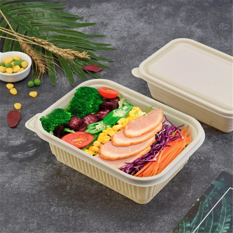 Chinese Food Boxes Wholesale Corn Starch Containers Recycle Sugarcane  Takeaway Disposable Lunch Box