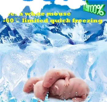 Natural Raw Meat, High-protein, Multi-nutrient, Stimulating Growth, Snake, Lizard, Horned Frog, Pet Food