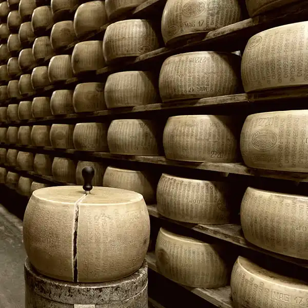 Надежный итальянский бренд высшего качества 1 кг свежего тертого гранулированного твердого сырого плавленого сыра в жестяной