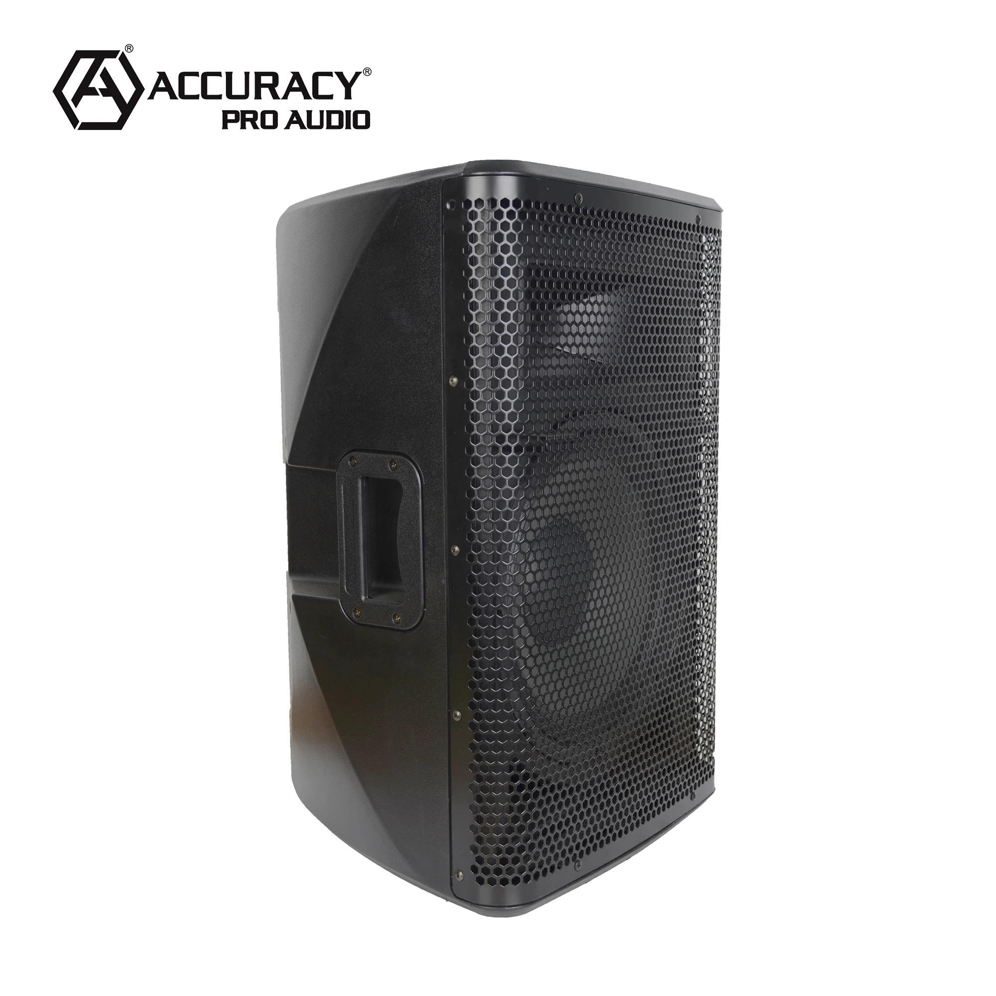 Accuracy Pro Audio CAO10DSP 10 Inch DSP Powered Speakers Home Party pa Active Portable Sound System Speaker Box