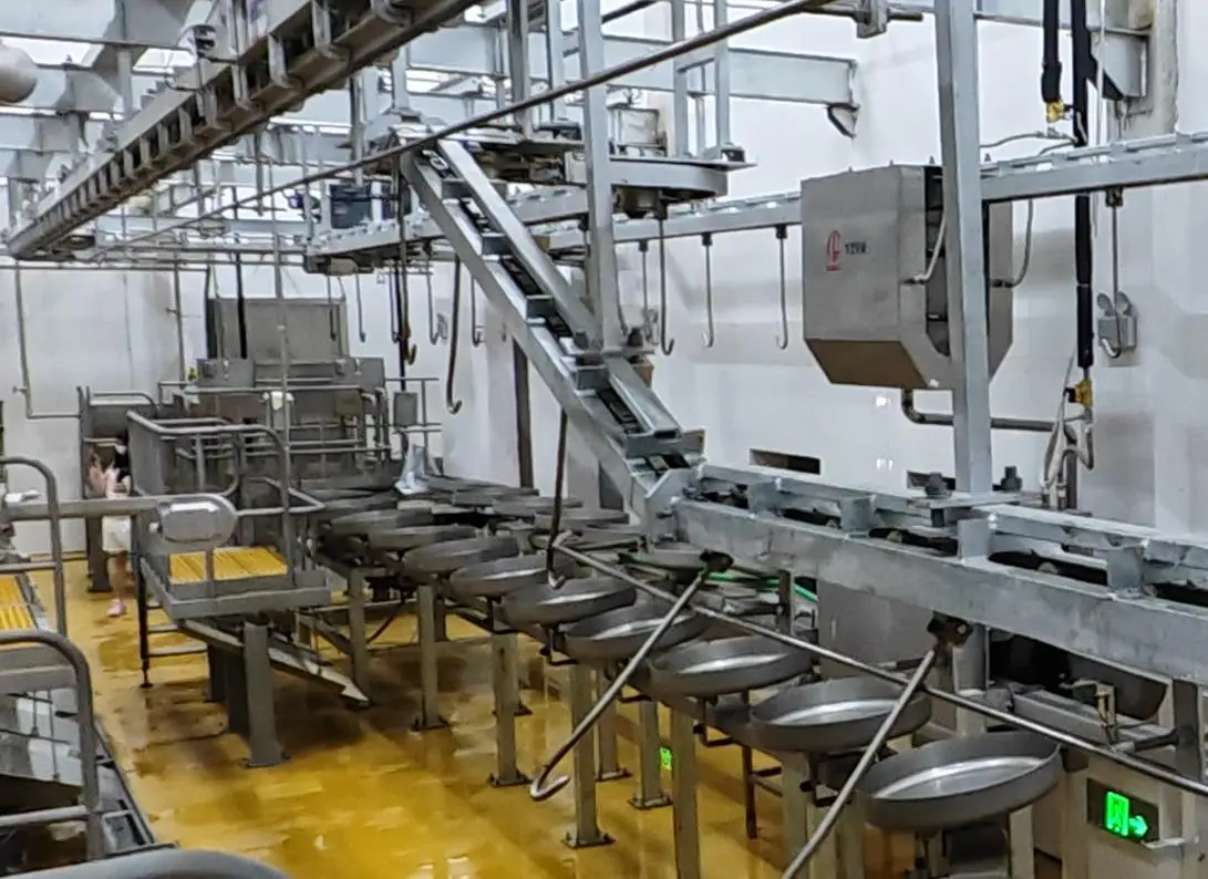 Automated pig slaughtering production line for pork slaughterhouses and processing plants