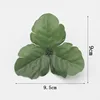 500g of triangular chrysanthemum leaves