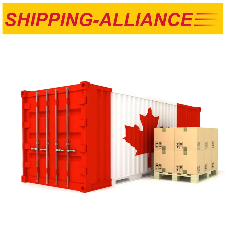 Shipping Containers And 20ft Container Sea Freight From China To
