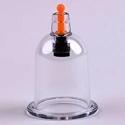 Y4 CUPPING.jpg