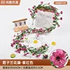 Clivia vine - purplish-red