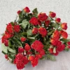 Barbie naranja-1 manojo 10 30 cabezas de flores 1-25cm