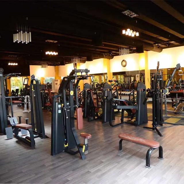 Ganas Taiwan Gym Equipment Supplier Fitness Machines Exercise Sports