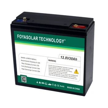 Foya Solar New Design Black ABS Case 12V 14AH 20AH Battery 12V 30AH Lifepo4 Battery
