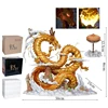 46CM shenron
