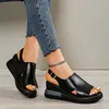 colorful black