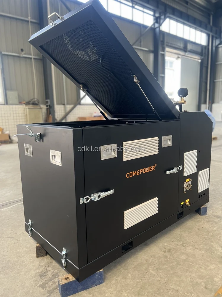 Silent Type  Sustainable Power Plant 20kw  3 Phase  Micro CHP  Biogas LPG  Natural Gas Generator for Sale