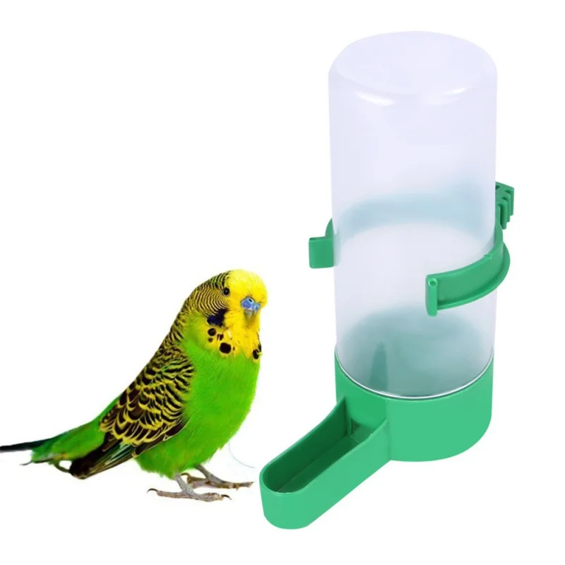 auto bird water feeder