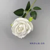 Velvet Open Core Rose - White