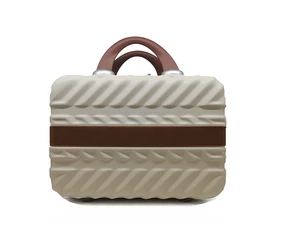 High Quality 14 Inch Hard Waterproof Makeup Bag Portable Women's Makeup Suitcase Sturdy and Durable Carry on Luggage