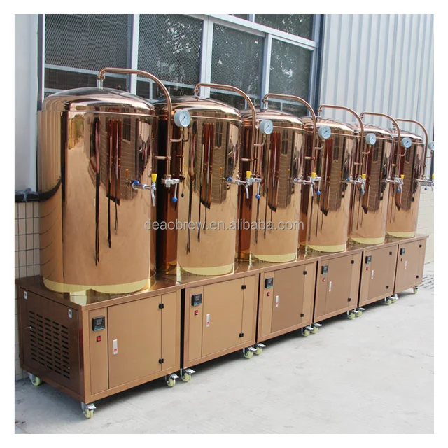Hot Sale 300l/500l/1000l Brewery Equipment Temperature Control 3 in 1 Beer Fermenter Tank for Small Batches