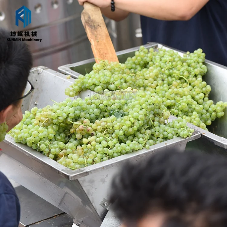Excellent One Time Forming Grapes Stem Removing and Grape Crusher Smashing Machine