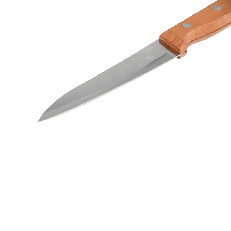 CHINABEES Beekeeping Blade Knife Extractor Scraping Honey Knife Scraping Tools Cut Honey Beekeeping Tools Apiary