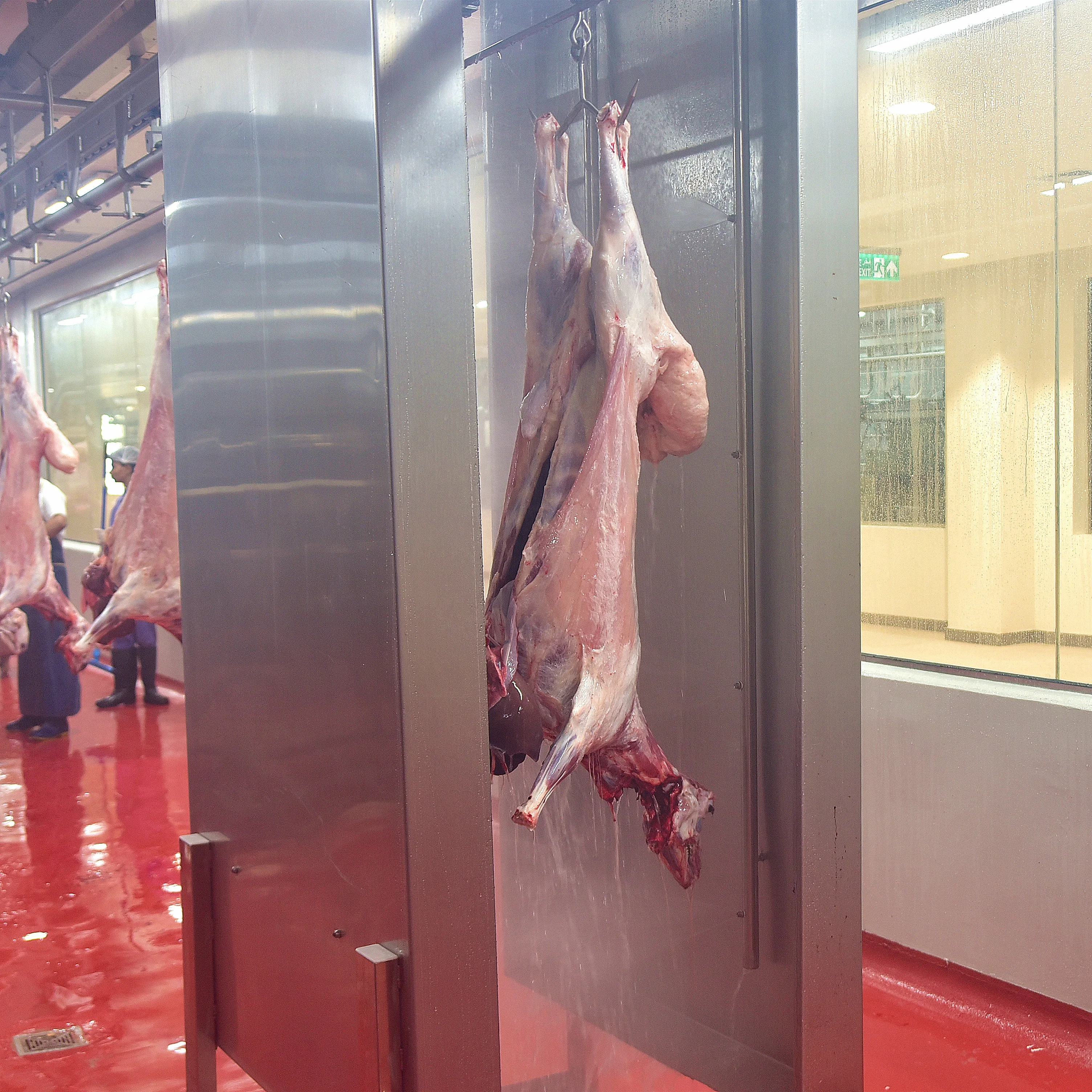 High efficiency lamb slaughtering plant machine lamb slaughtering process