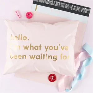 Wholesale Custom Logo Manufacturer Pink Poly Tear-Proof Mailer Biodegradable Poly Mailing Bag with Clothing Packaging