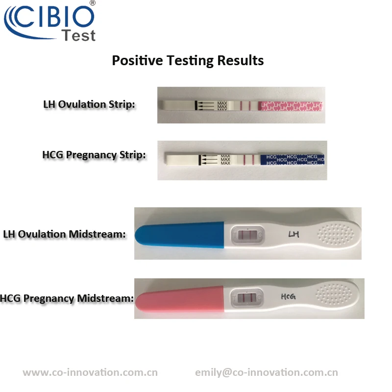 Ovulacion Predice Test De Ovulacion Marca Embarazo Dispositivo De