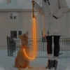 สีส้ม