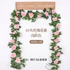 Ten light pink rose vines (2.2m)