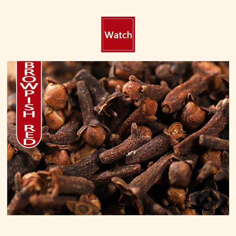 Zzh Hot Selling Cloves Seed Bulk Spices Wholesale High Quality Exported Ceylon Cloves Spice