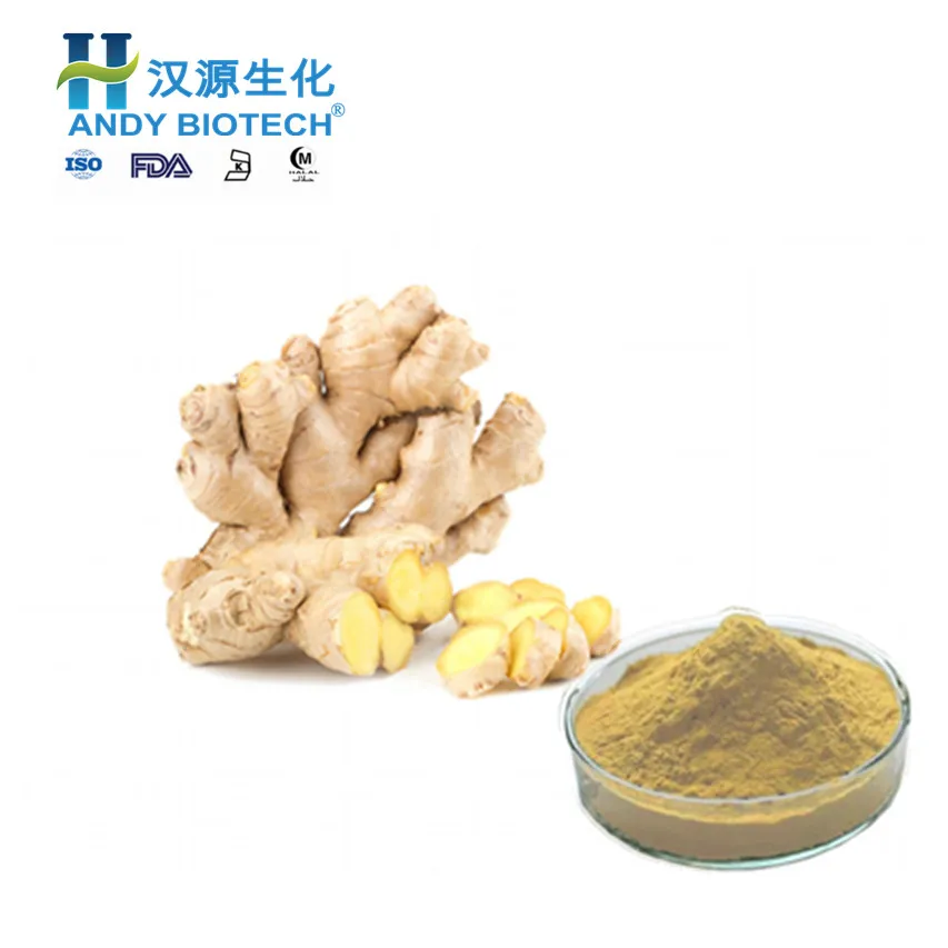 Ginger Root Extract 1