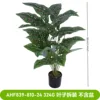 AHF839-810-24