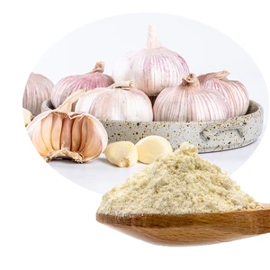 Garlic Seasoning Powder Factory Wholesale to Meat Industry Seasoning Mixed Condiment for Fried Chicken