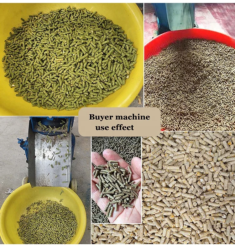 Animal Poultry Fish Feed Processing Machines Wood Pellet Mill Making Machine