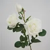 Ibisco a 3 teste rosa-bianco