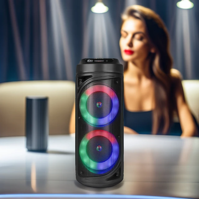 SING-E ZQS6212  High quality karaoke sound amplified car speakers Bluetooth portable DJ speaker with FM radio high quality