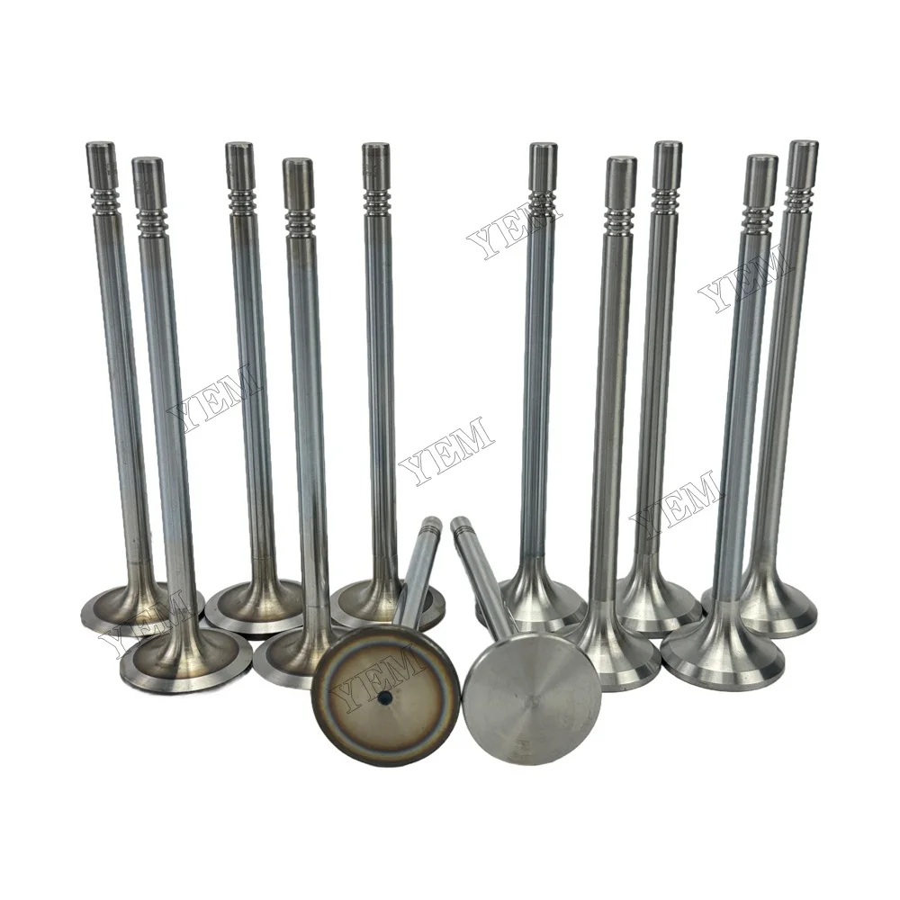 Exhaust Intake Valve Fit for Deutz TCD2013-L06-4V Engine