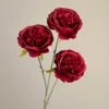 rojo oscuro