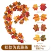 HY-F251-1