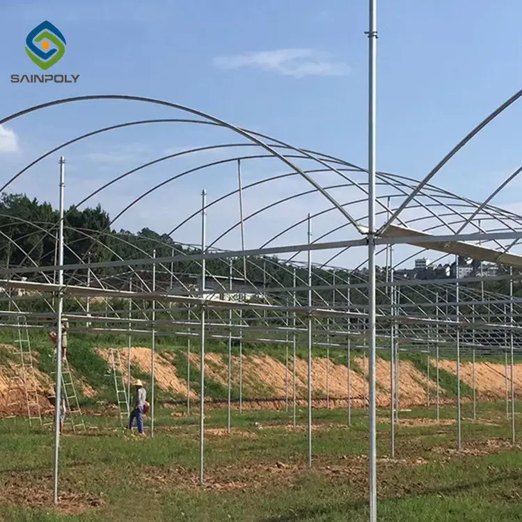 Sainpoly Low Cost Multi Span Greenhouse Agricultural Equipment  Autom 40x100 Film Greenhouse for Sale