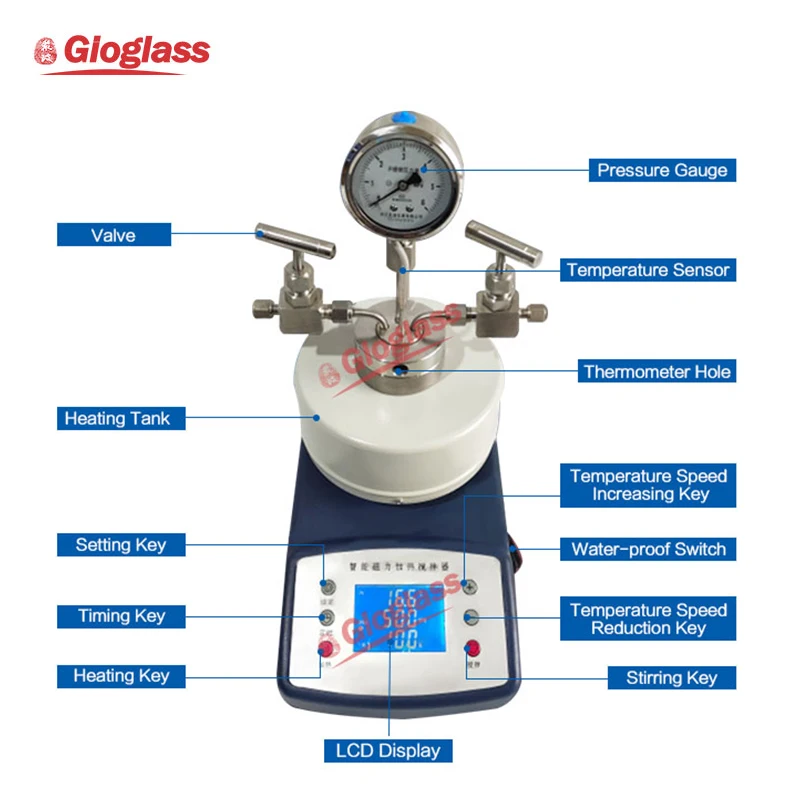 High Temperature High Pressure Reactor Lab Polymer Synthesis Autoclave Reactor