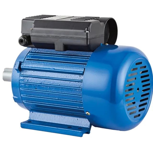 Dongye made YL SERIES SINGLE-PHASE DUAL-CAPACITOR INDUCTION MOTOR