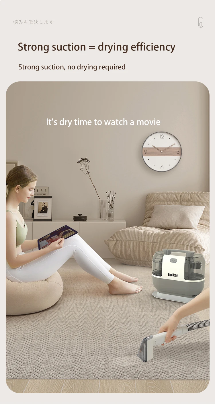 Cop Rose Wet & Dry Vacuum Sofa,Sofa Wet Dry Vacuum Cleaner Machine For Cleaning Sofa Buy Wet