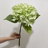 verde 3