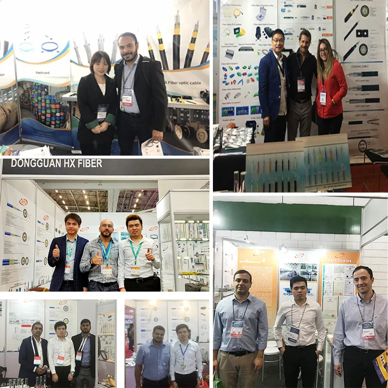 Customized Cores Outdoor Armored Fiber Optic Cable with OM1-OM4 Fiber and Temperature Resistance (-40°C to +70°C)