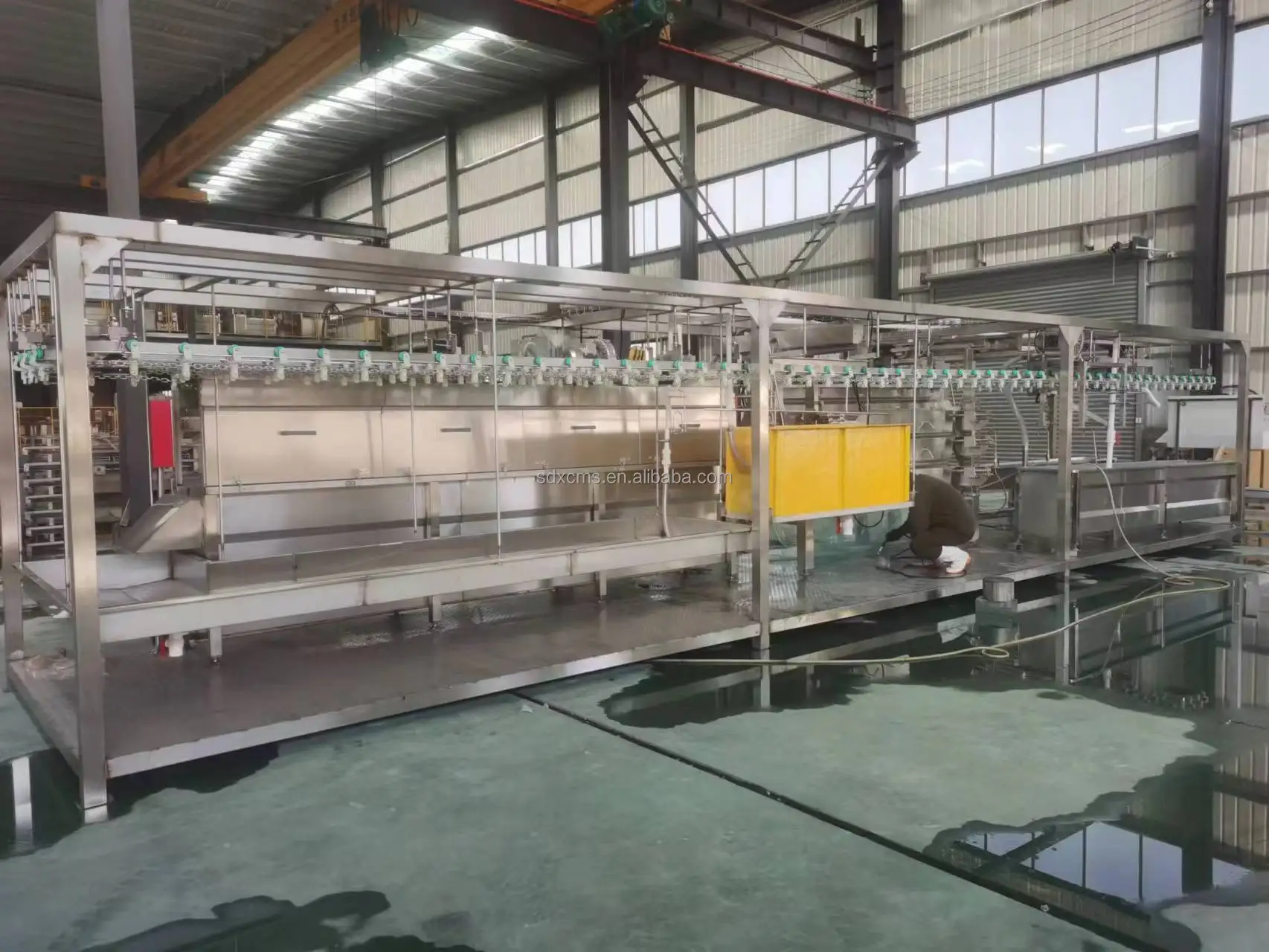 Halal Slaughter Machine Essential Equipment for Chicken Care New Type 300-1000bph Plucker Slaughtering Equipment Core Motor