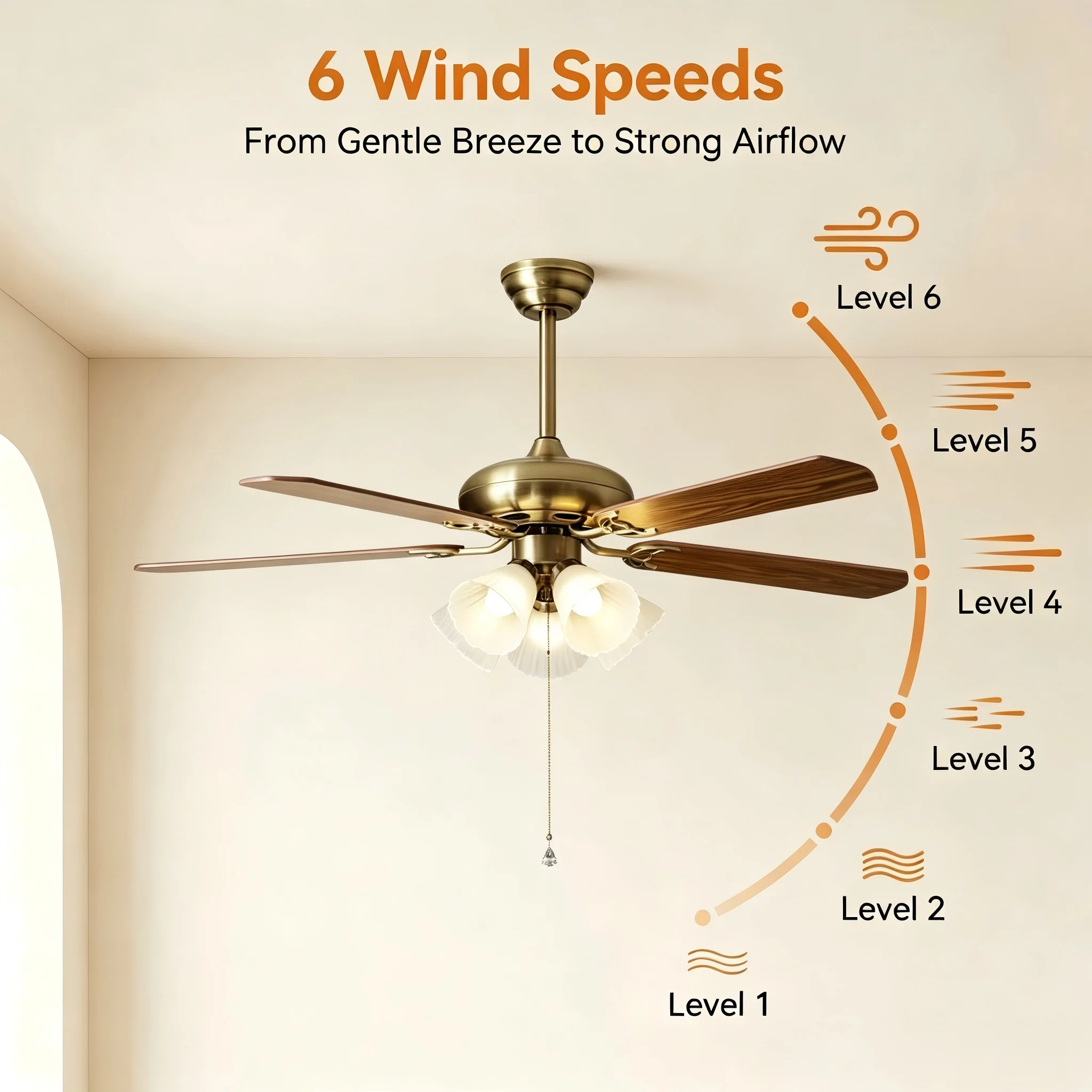 Specifications