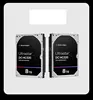 SAS-8TB