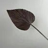 Black Purple Sharp Palm Leaves