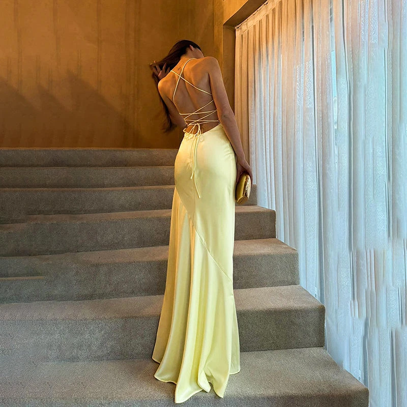 ZIPPY High Quality Nylon Cowl Neck Maxi Dress Elegant Luxury Evening Party Long Dress Sexy Backless Design Evening