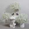 Bianco 23