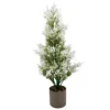 Mini cyprès blanc avec pot en plastique