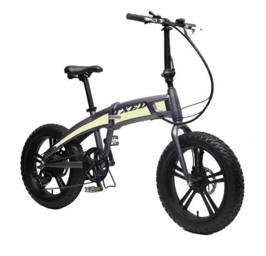 20 inch electric bike kit with battery